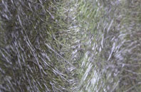 Depden Green fibreglass roof work